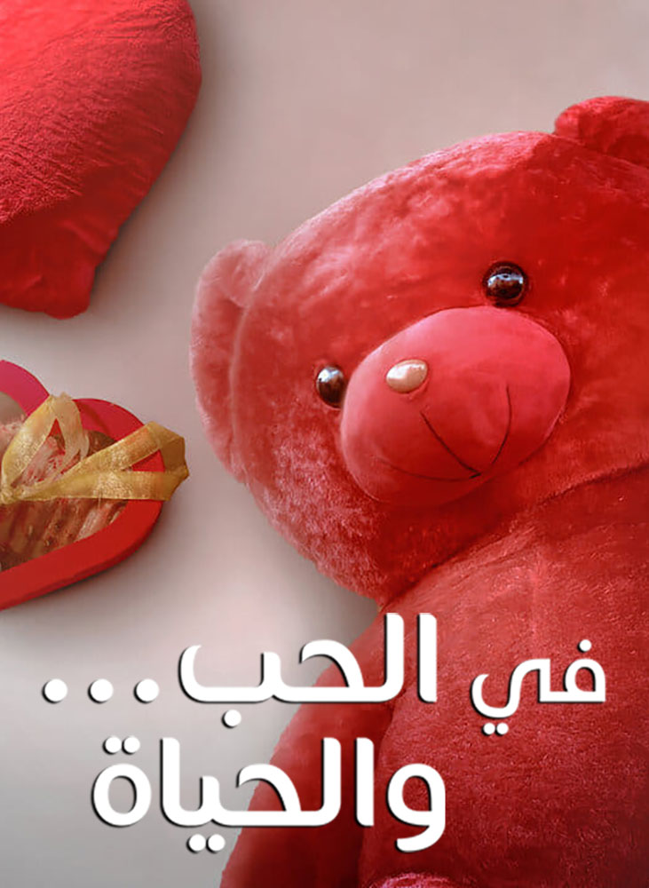 مشاهدة مسلسل في الحب والحياة حكاية سيدي الفالنتاين على ArabSeed